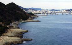 Article Image for Exploring South Korea’s Coastal Charms from the Water