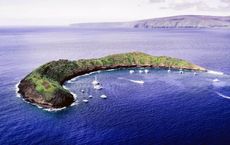 Article Image for Exploring the Best of Pacific Island Cruising