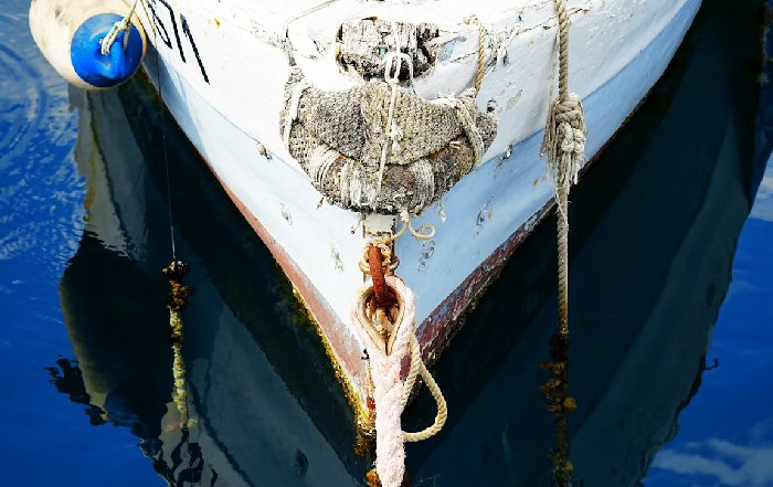 Article Image for Protecting Marine Ecosystems While at Anchor