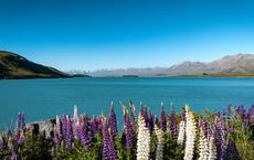 Article Image for Review: A Bluewater Sailboat from a New Zealand Builder