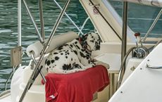 Article Image for The Business of Building Bespoke Furniture for Yachts